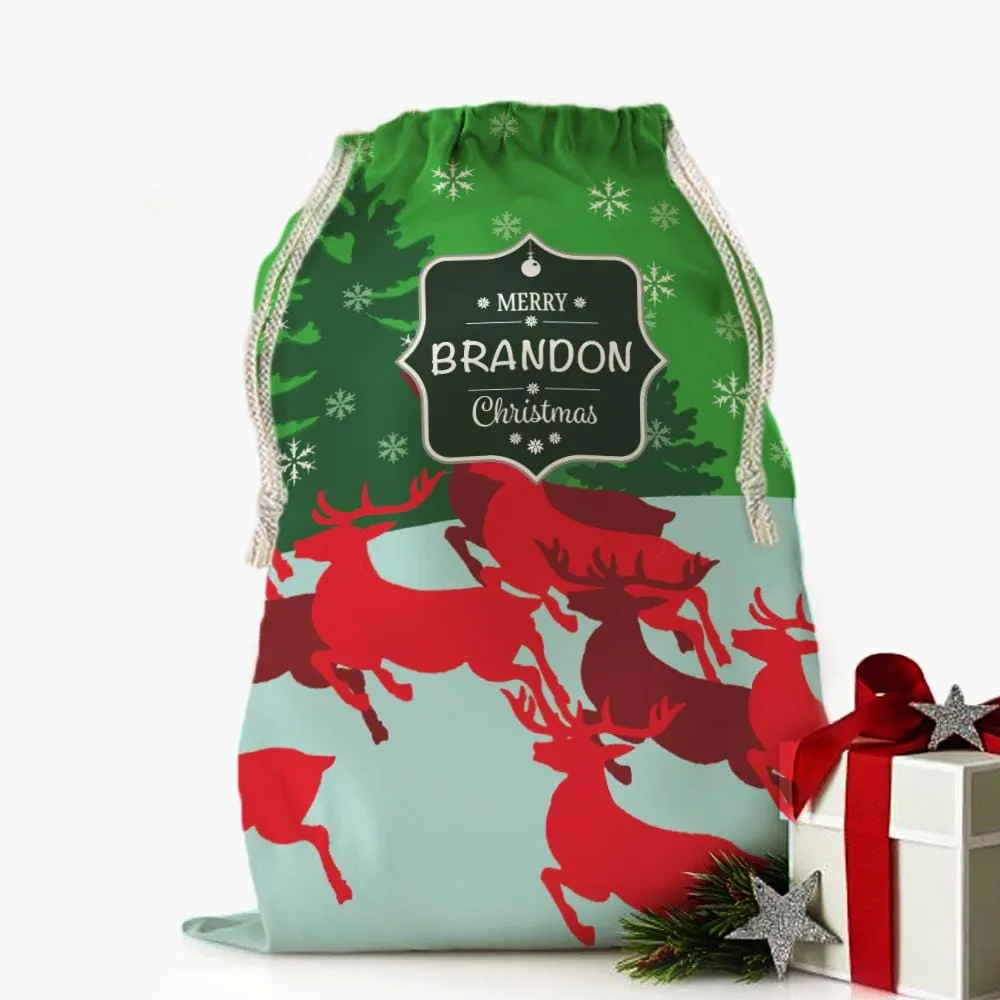 Custom Santa's Special Delivery Christmas Drawstring Sack | Personalized Santa Bag