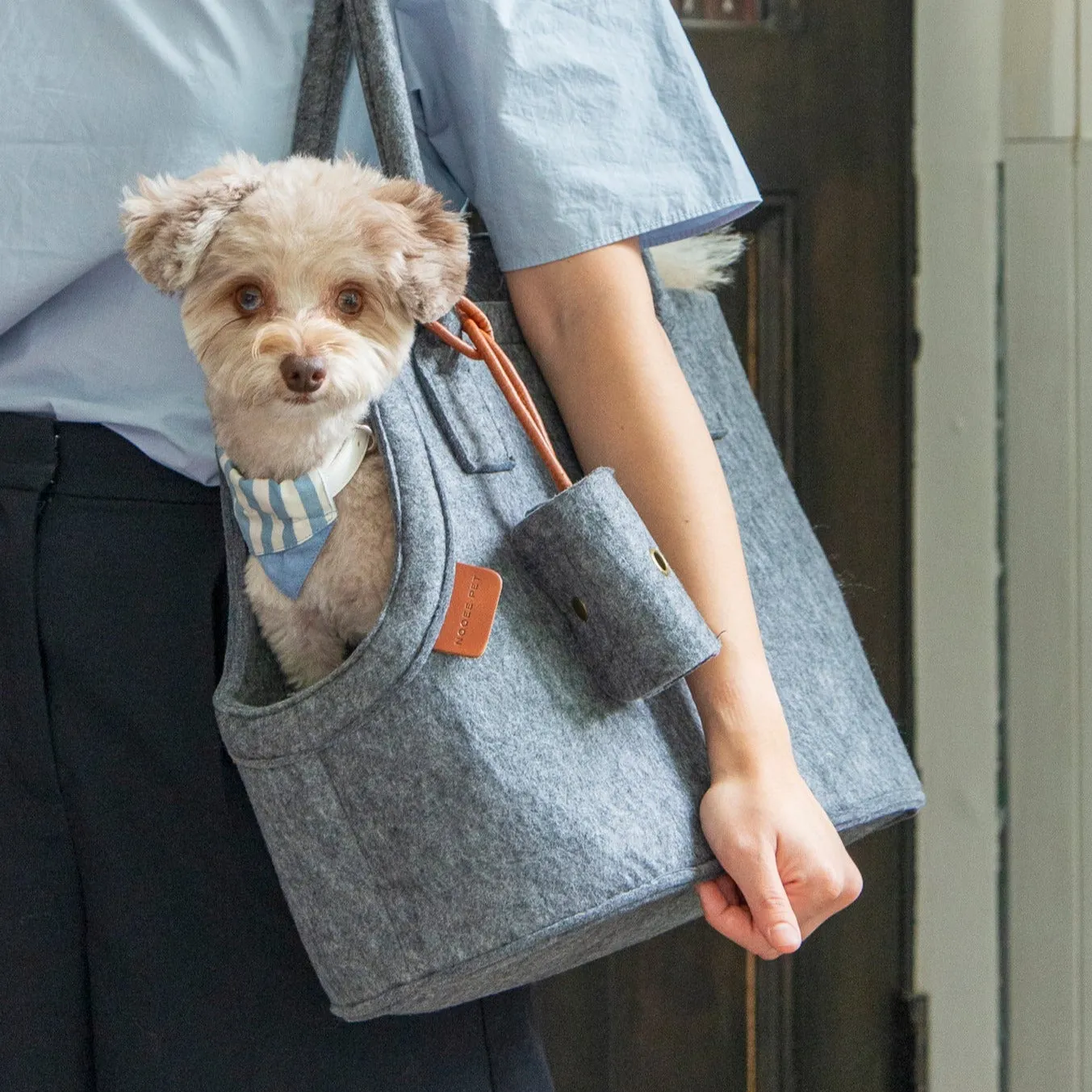 Dog Carrier Ash (Gray)