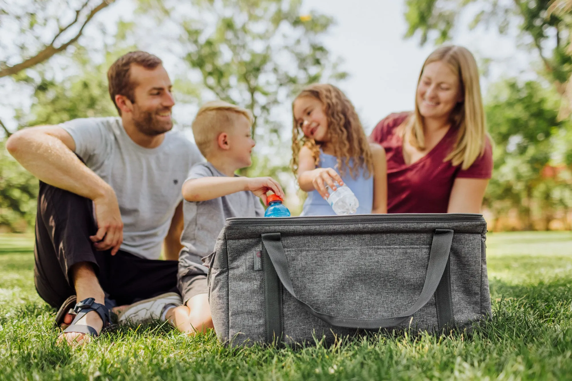 Houston Texans - 64 Can Collapsible Cooler