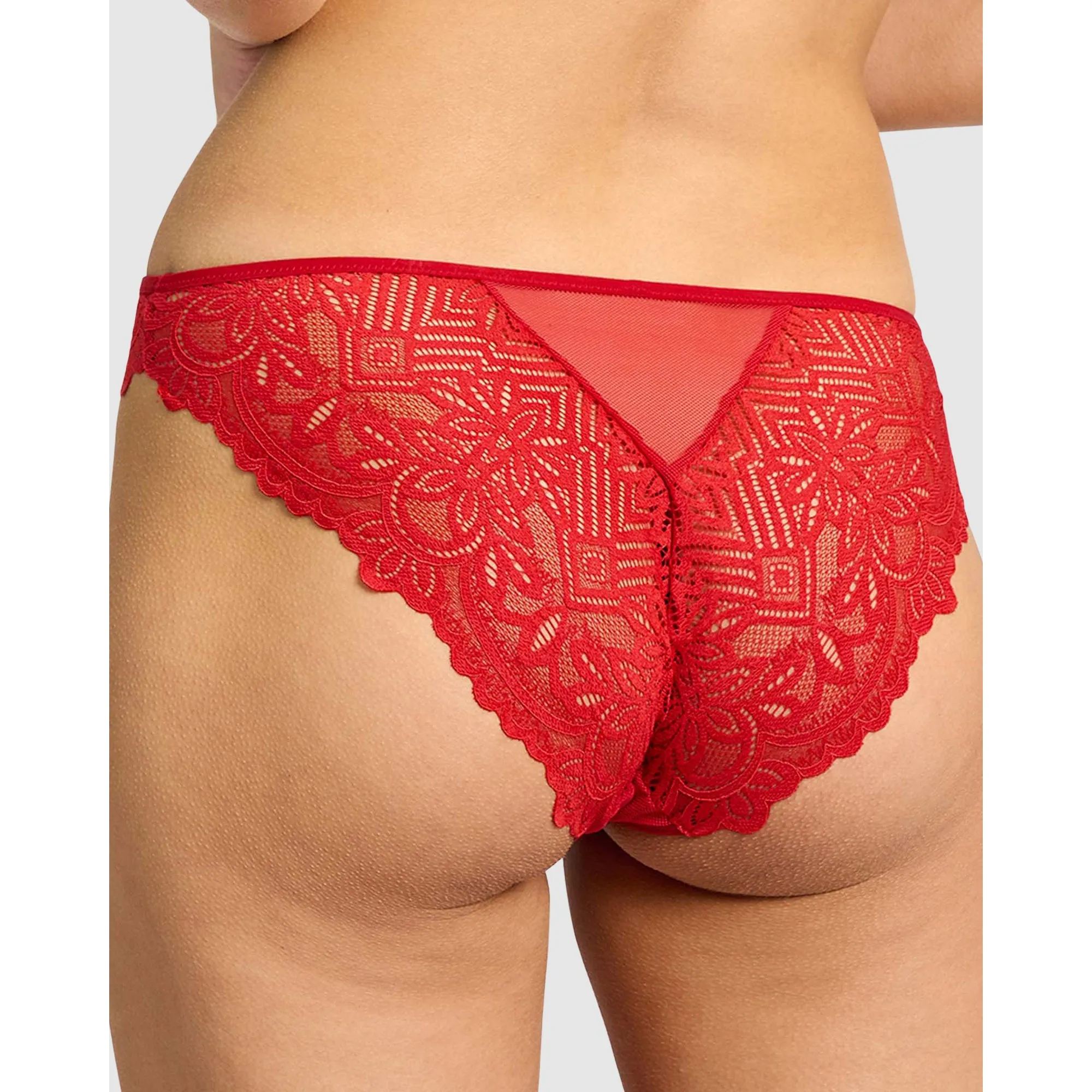 Lyse High Cut Cheeky Lace Brief