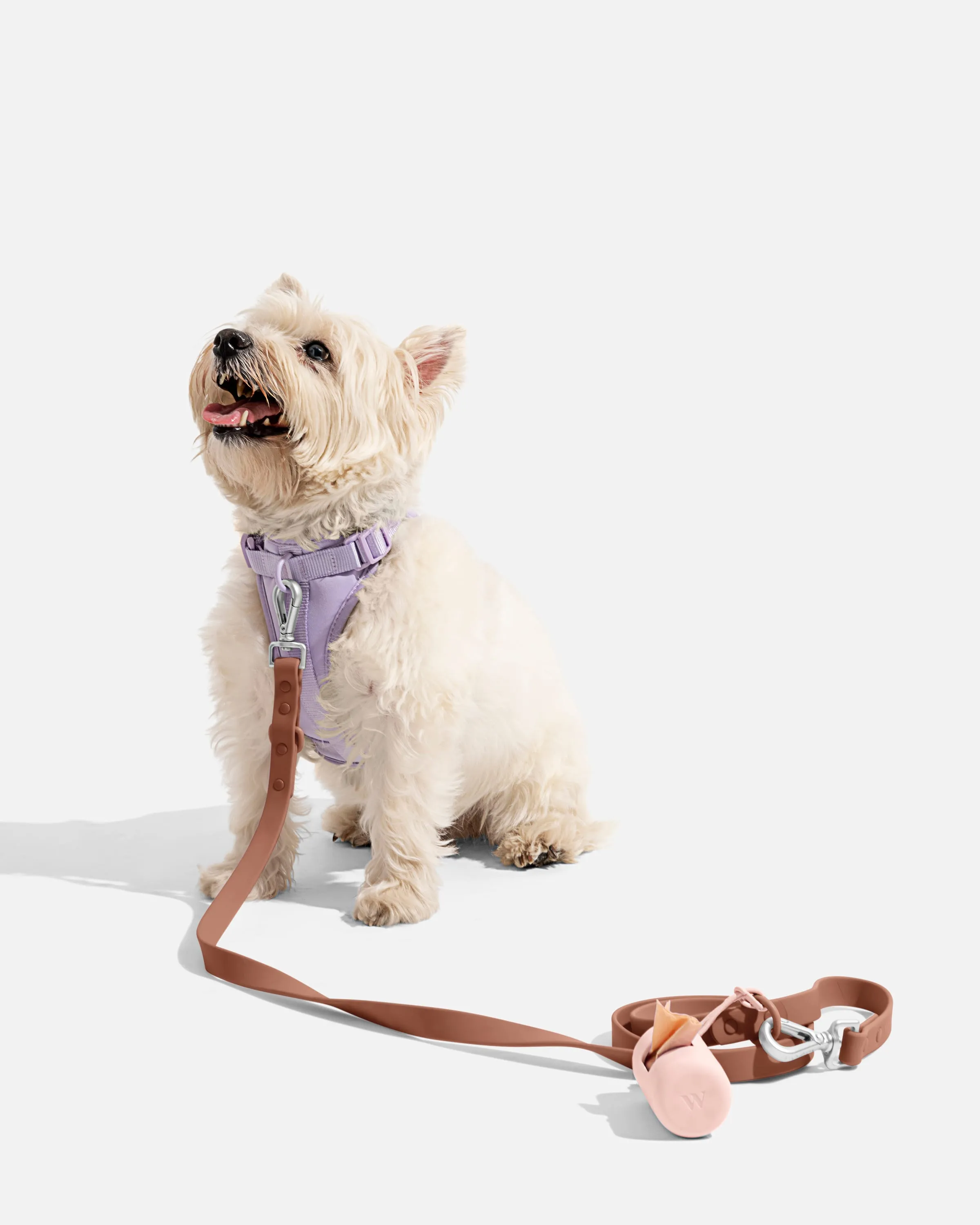 Mix & Match Harness Walk Kit