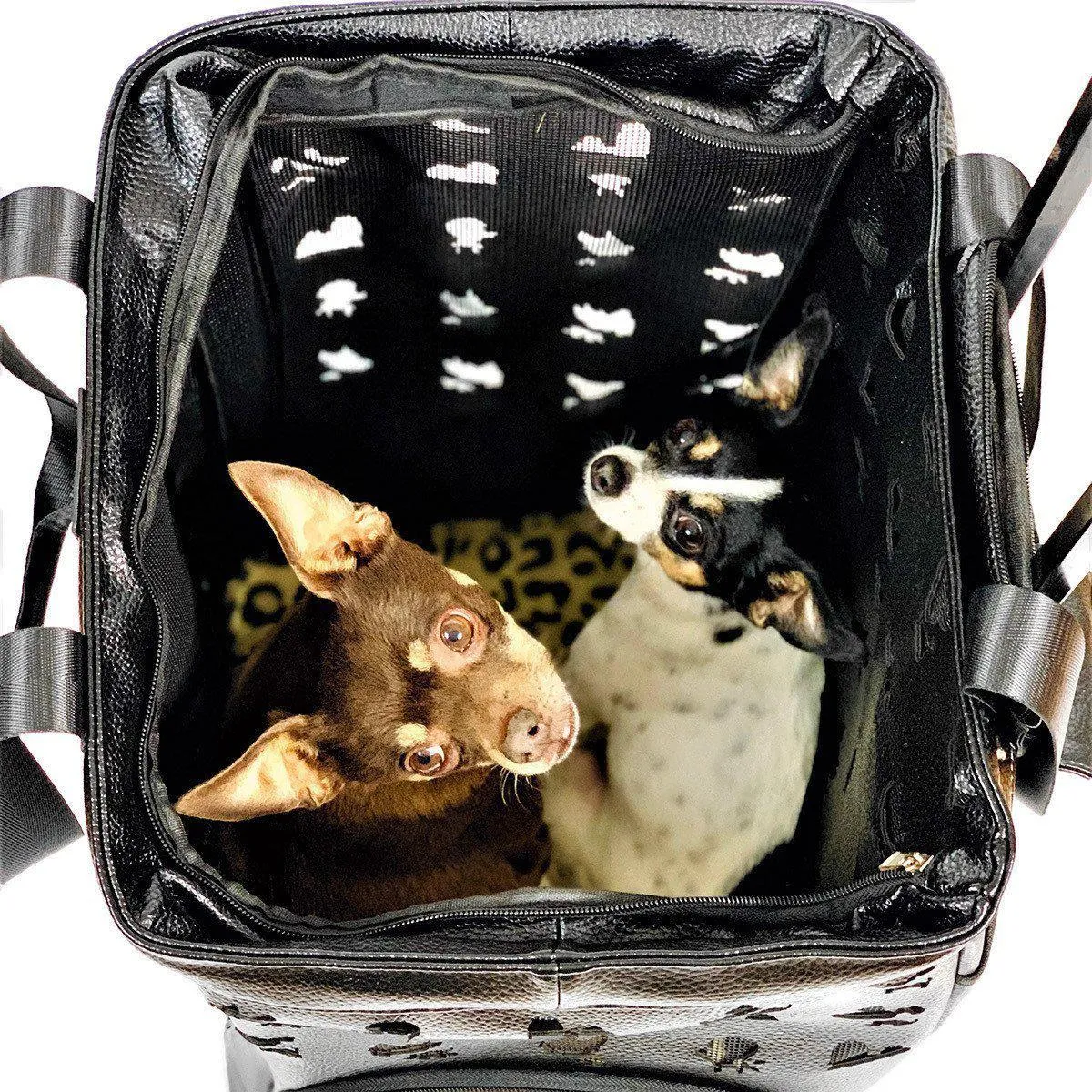 Mystere Shopper Wheeled Dog Carrier