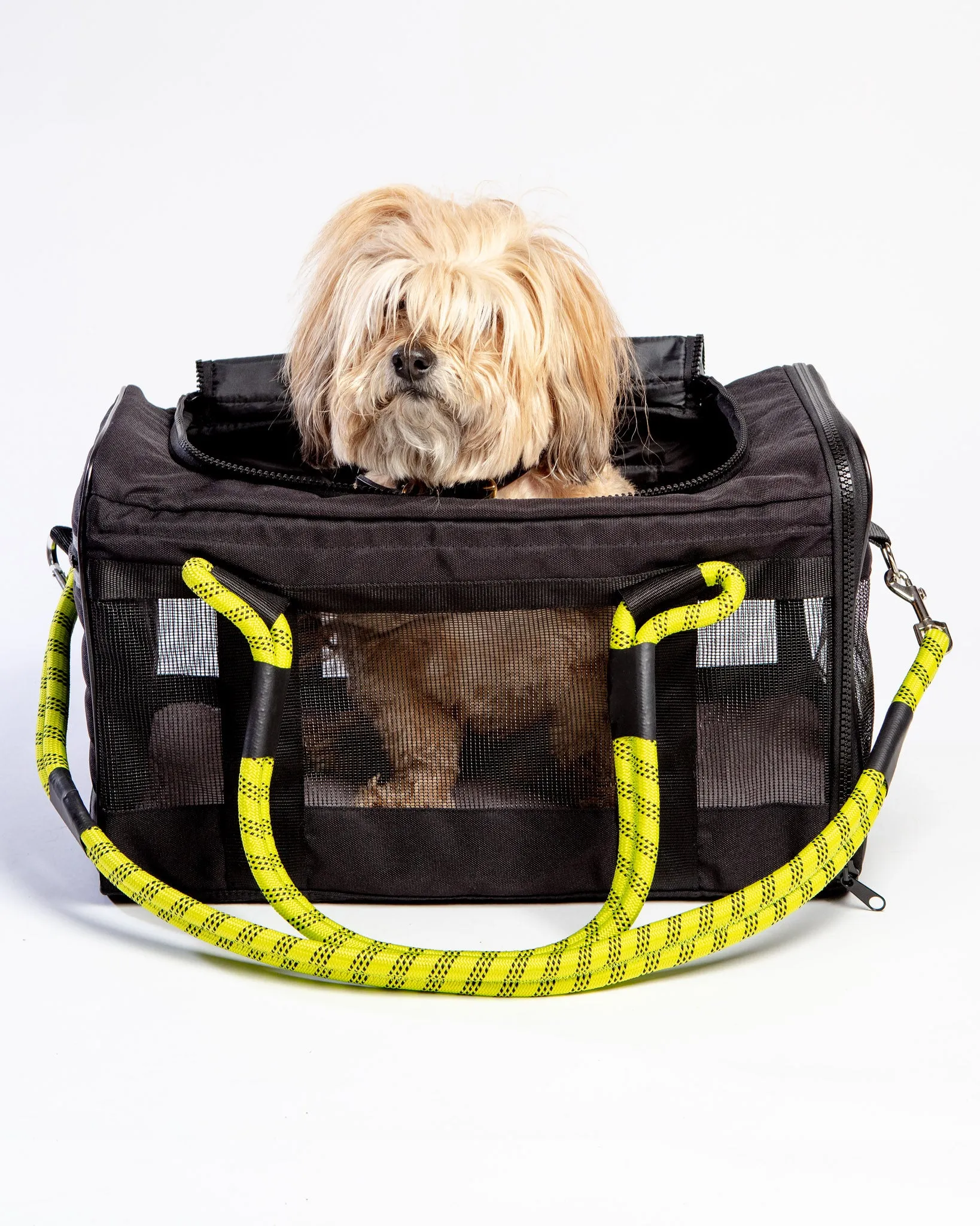 Out-Of-Office Dog Carrier in Black with Neon Yellow Straps (FINAL SALE)