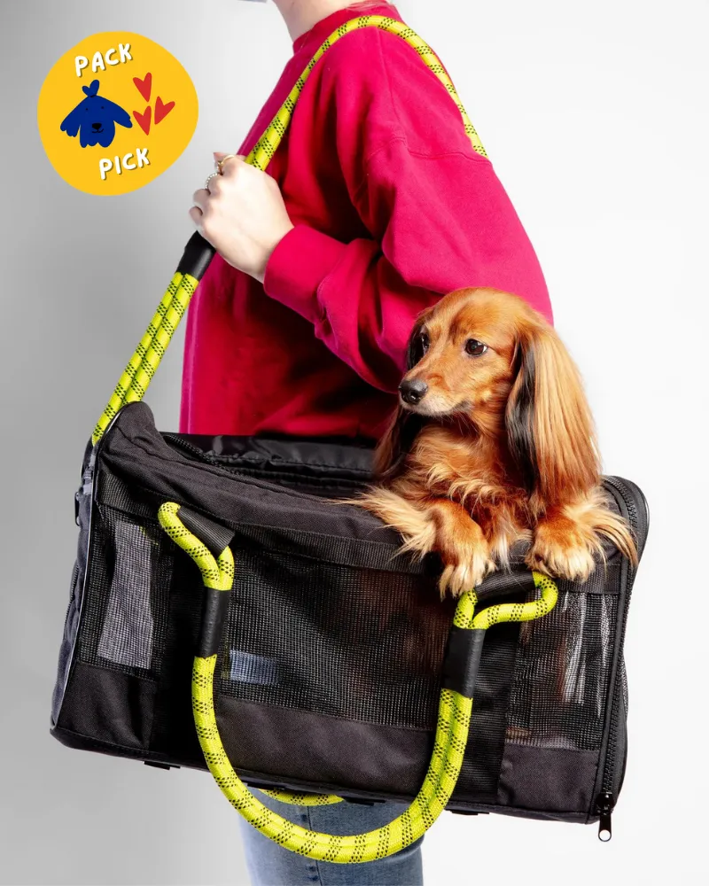 Out-Of-Office Dog Carrier in Black with Neon Yellow Straps (FINAL SALE)