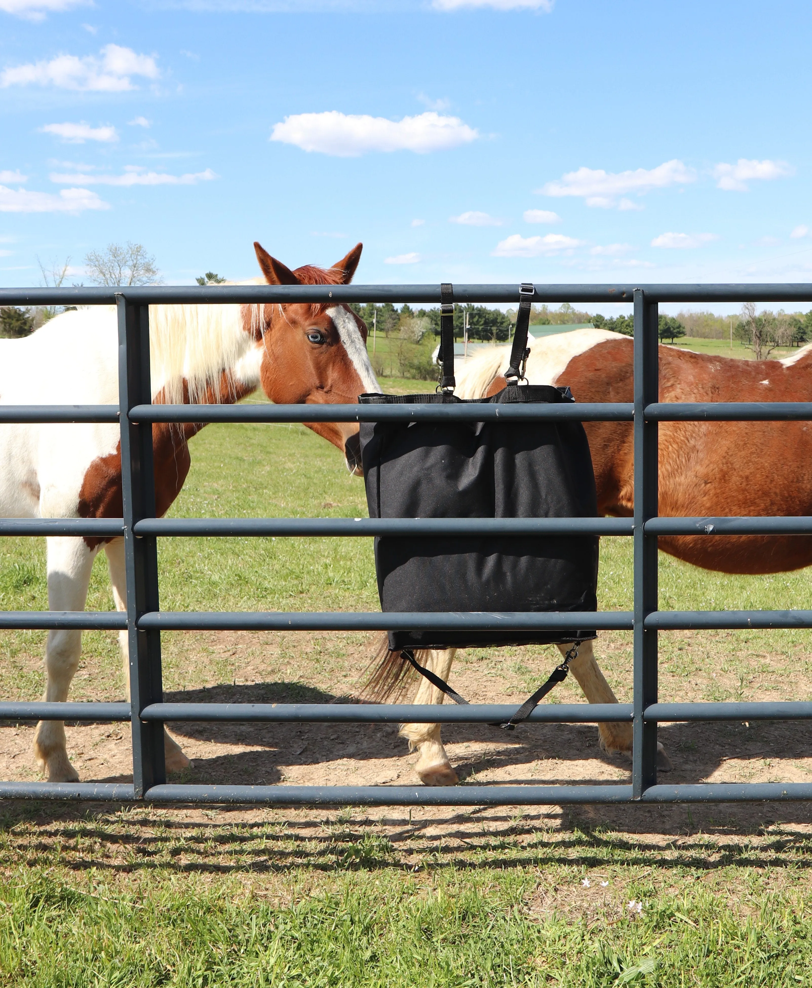 Paris Tack Ultra Slow Feeder Horse Hay Bag with Super Tough Bottom with  1" Square Openings and 6 Month Warranty