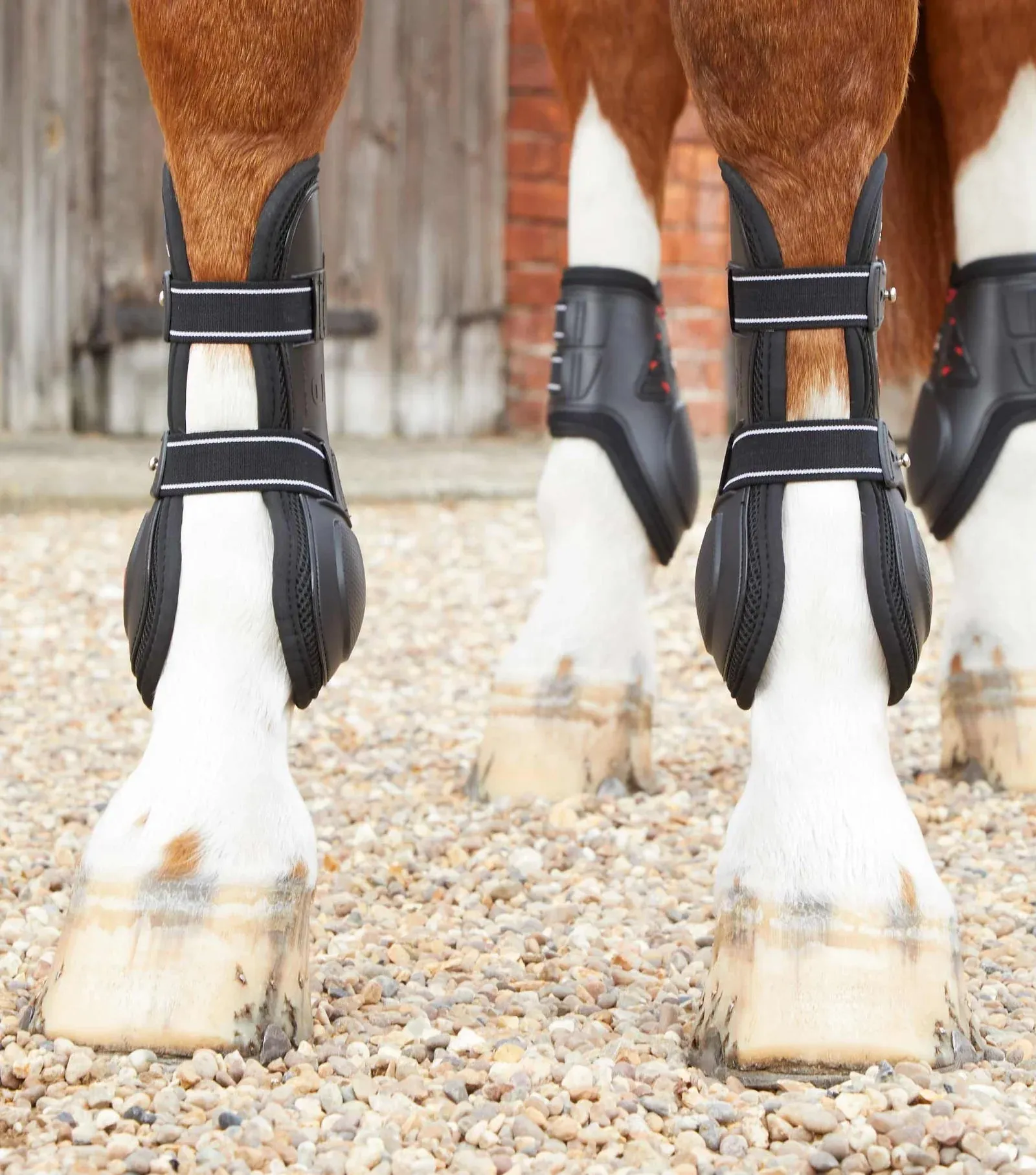 Premier Equine Kevlar Airtechnology Tendon Boots