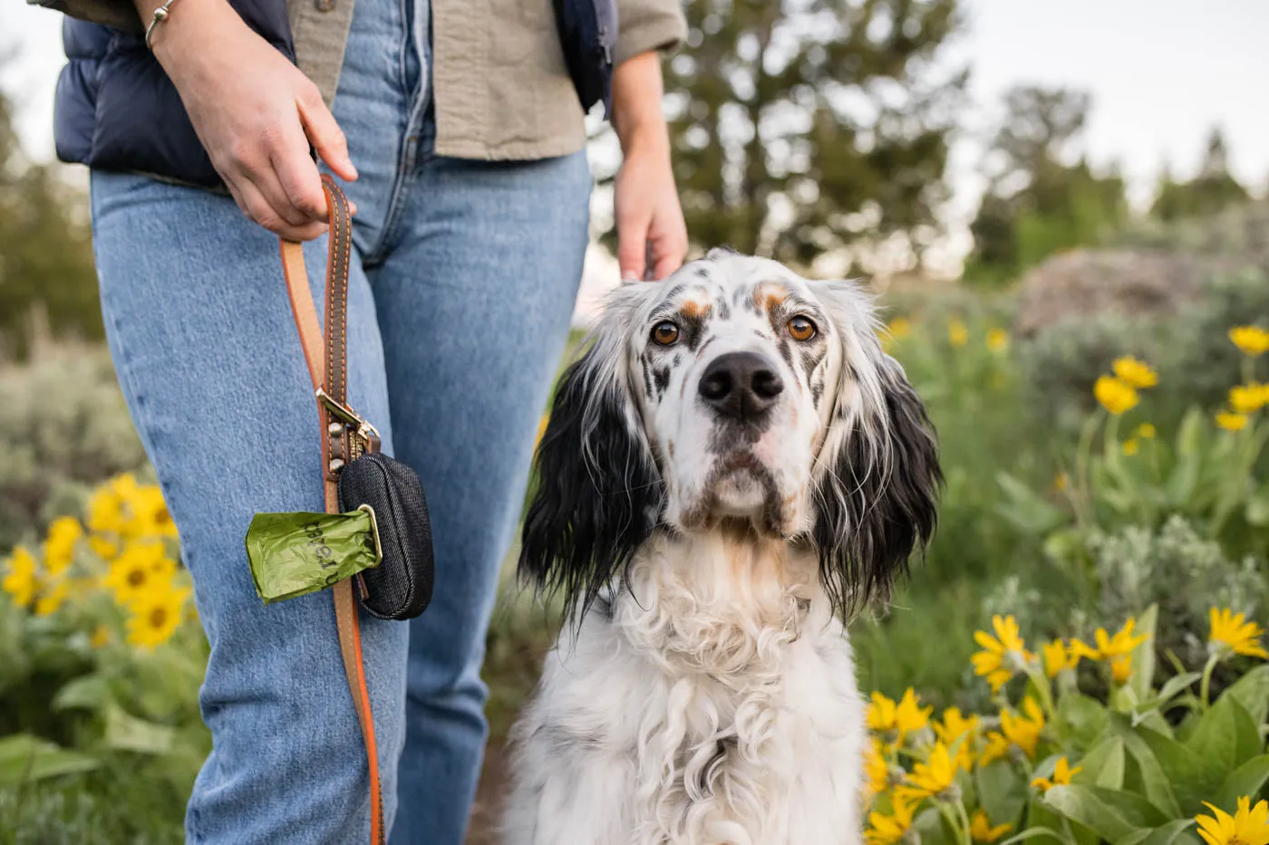 Proper Pup Poop Bag Dispenser