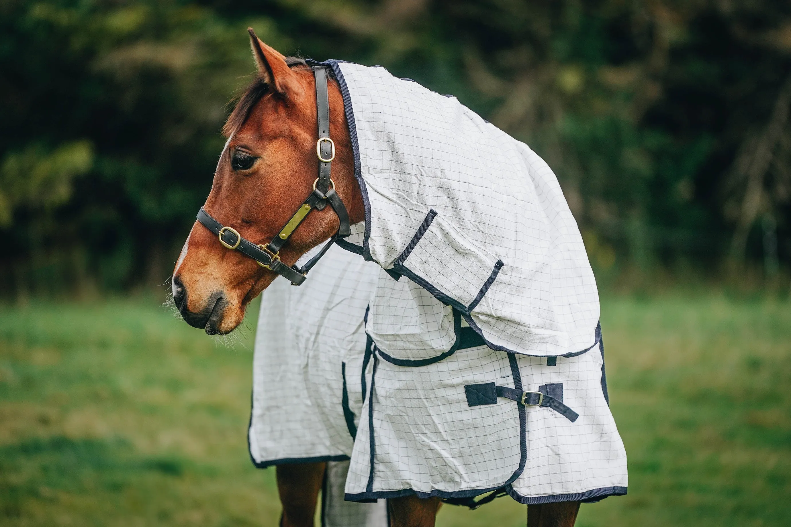 Summer Combo with Tail Bag