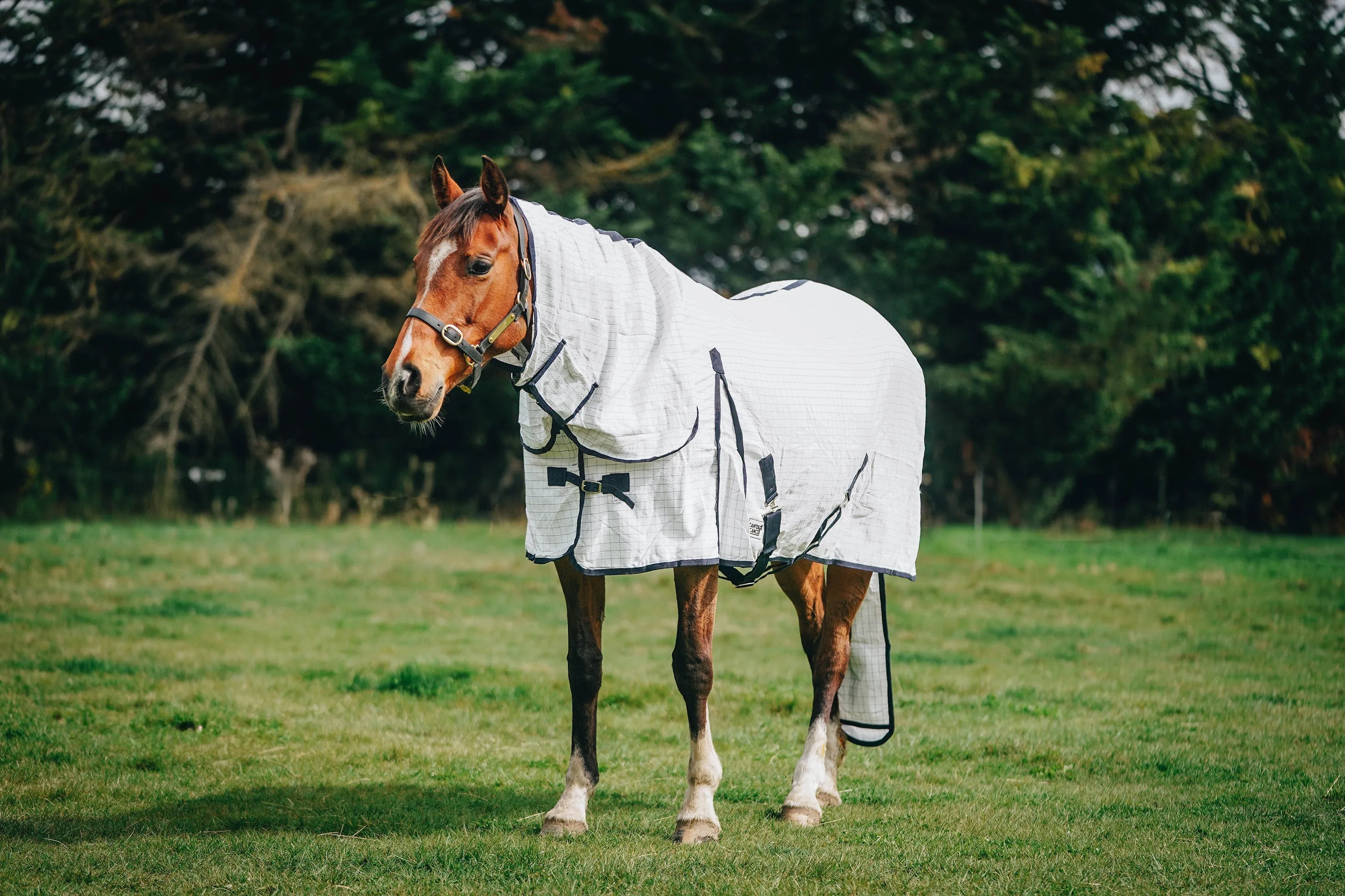 Summer Detachable with Tail Bag (Pony)