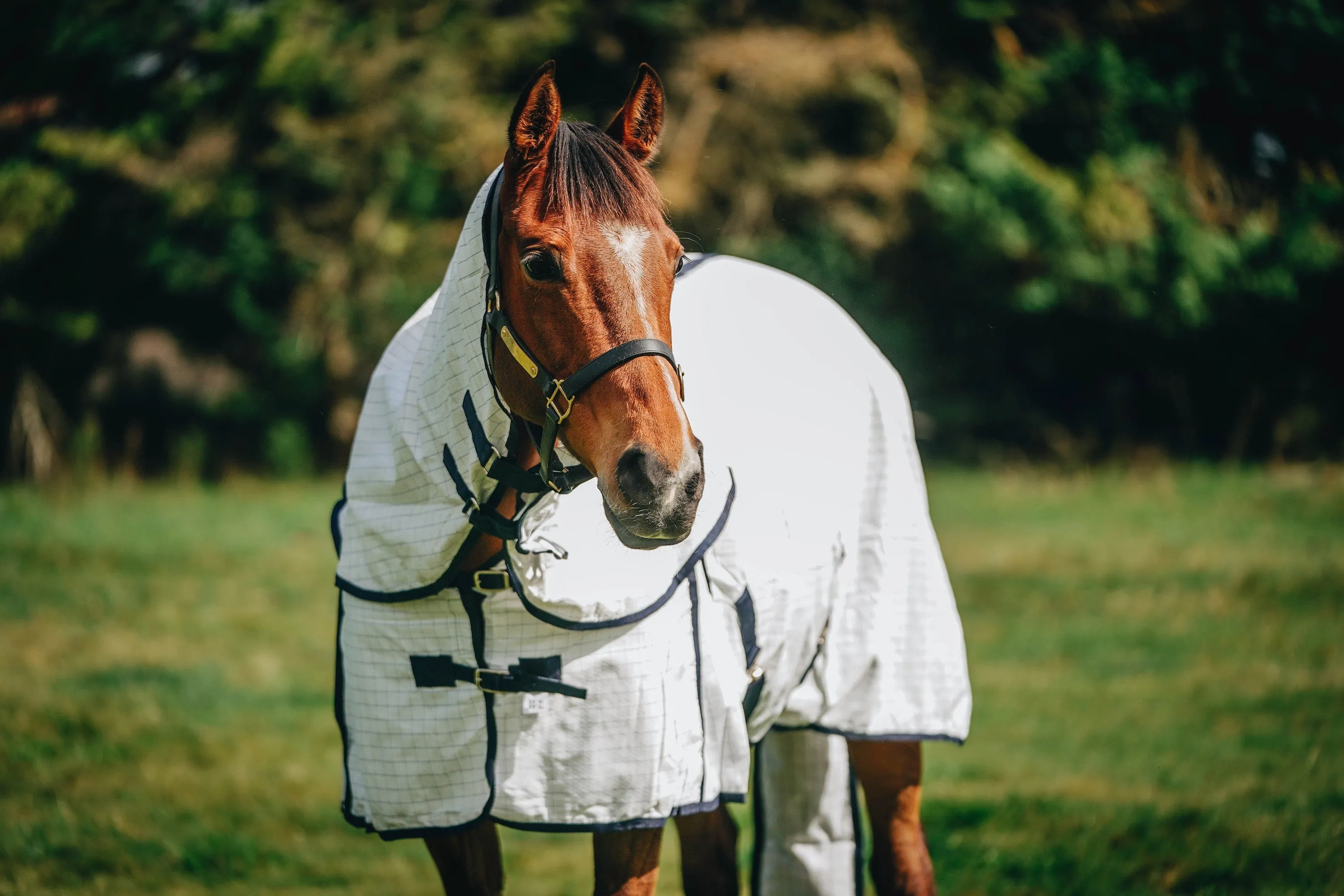 Summer Detachable with Tail Bag (Pony)